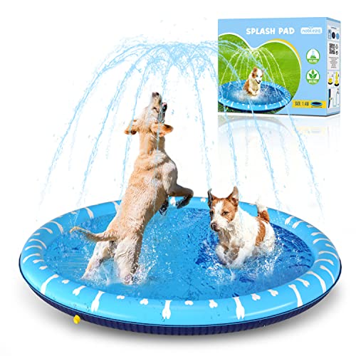 Hondenzwembad en sproeimat voor verfrissende waterspelletjes